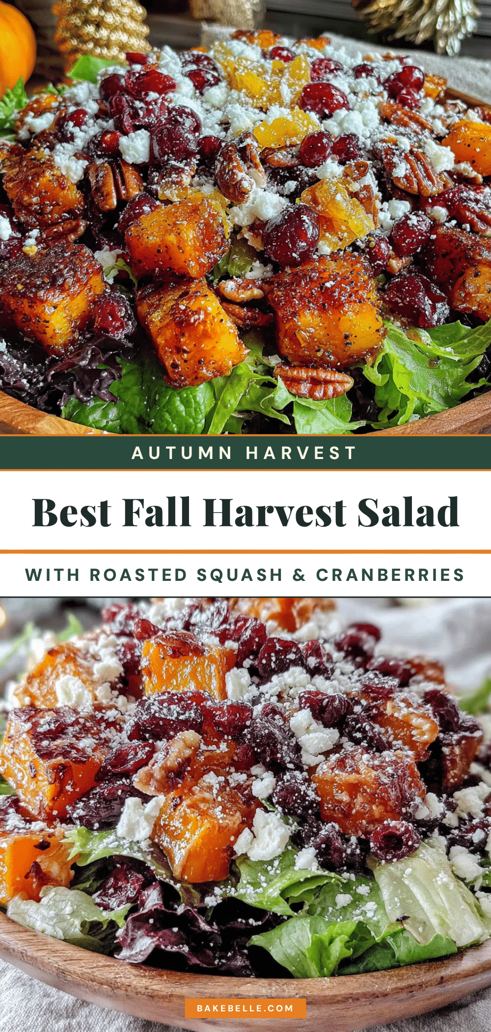 fall harvest salad with roasted squash recipe