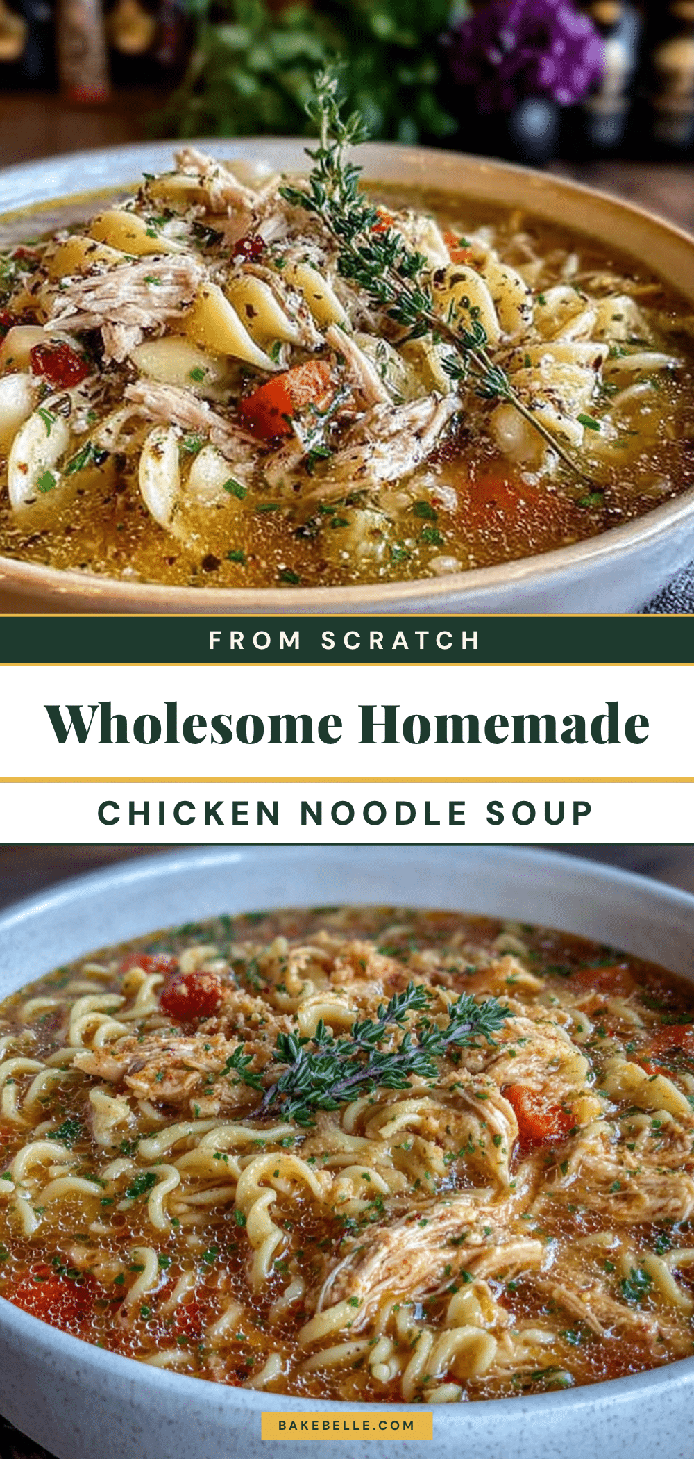 homemade chicken noodle soup from scratch recipe